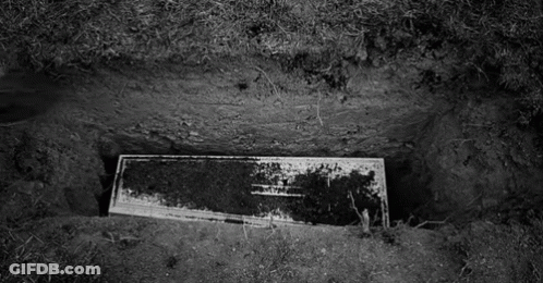 Black And White Coffin In Dirt GIF