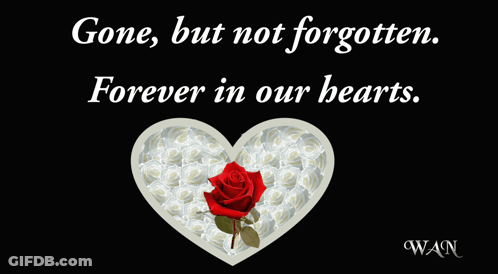 Black And White Coffin R.I.P GIF