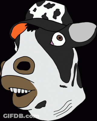 Black And White Cow In Hat With Red Stripe GIF