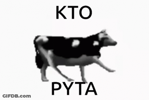 Black And White Cow Kto Pyta GIF
