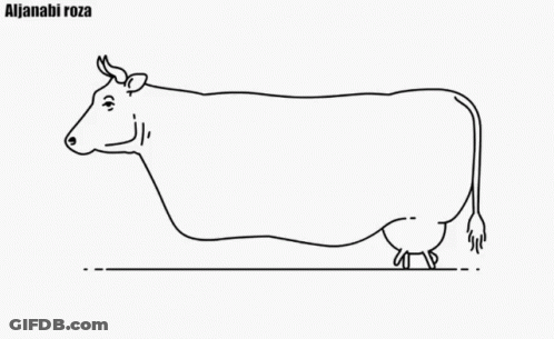 Black And White Cow Line Drawing Alija Nabi Roza GIF
