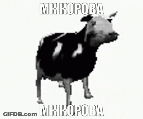 Black And White Cow Mk Kopova GIF