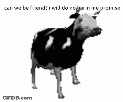 Black And White Cow Saying Can We Be Friend GIF