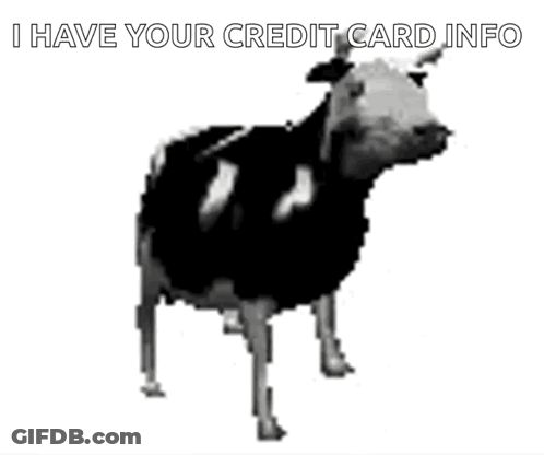Black And White Cow Saying I Have Your Credit Card Info GIF