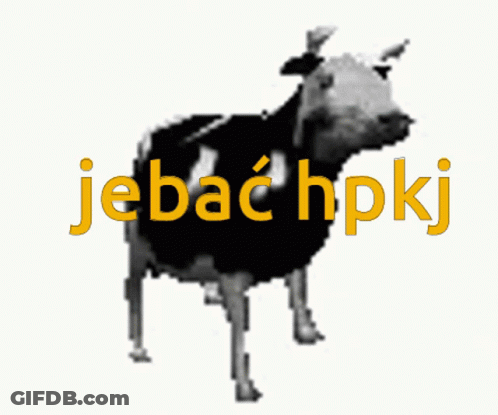 Black And White Cow Saying Jebac Hpkj GIF
