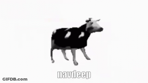 Black And White Cow Saying Navdeep GIF
