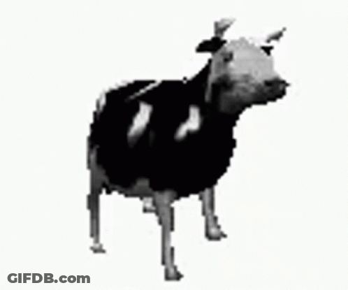 Black And White Cow Tylko Jedno W Głowie Mam GIF