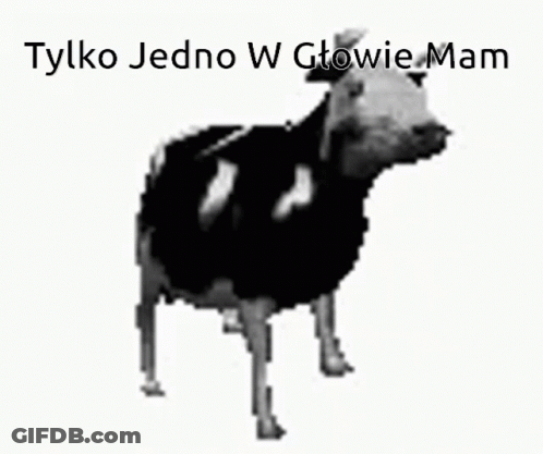 Black And White Cow Tylko Jedno W Głowie Mam GIF