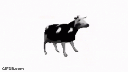Black And White Cow With Can We Be Friend I Will Do No Harm GIF