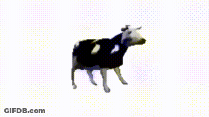 Black And White Cow With Dots GIF