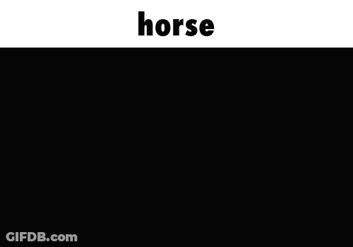 Black And White Cow With Horns Saying Horse GIF