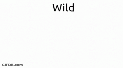 Black And White Cow With Word Wild GIF