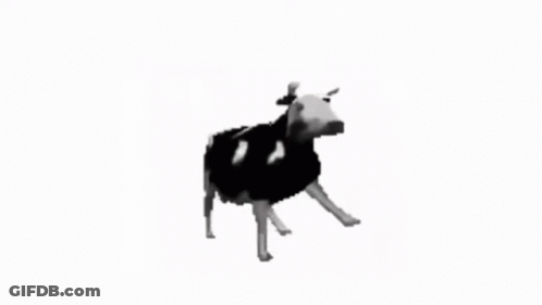 Black And White Cow GIF