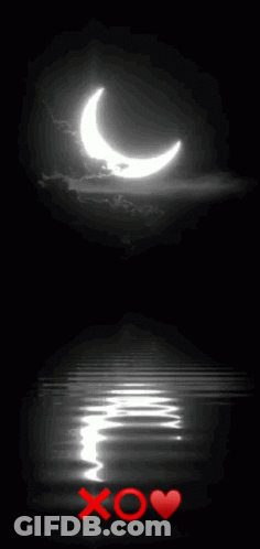 Black And White Crescent Moon XO Heart GIF