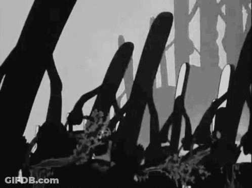 Black And White Crowd GIF
