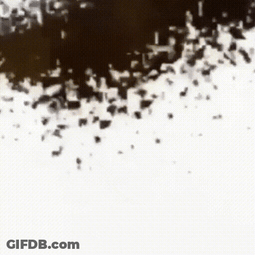 Black And White Crowd On Street GIF