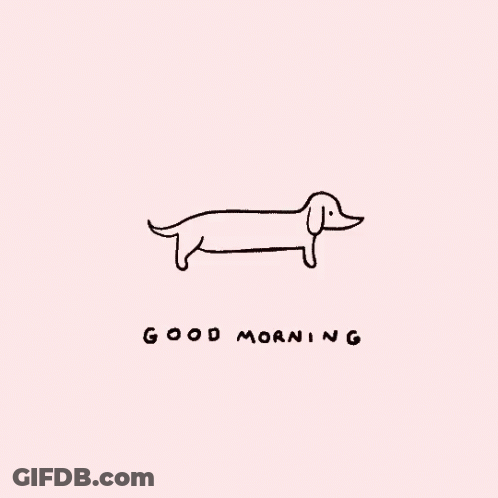 Black And White Dachshund Good Morning Pink Background GIF