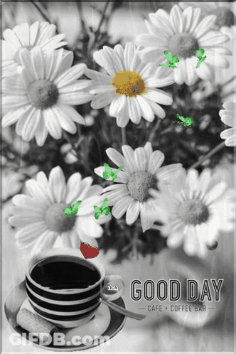 Black And White Daisies With Coffee Says Good Day Cafe Coffee Bar GIF
