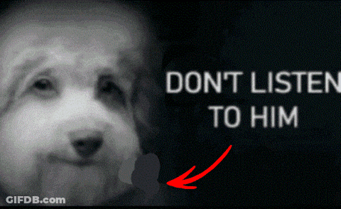 Black And White Dog Don't Listen To Him GIF
