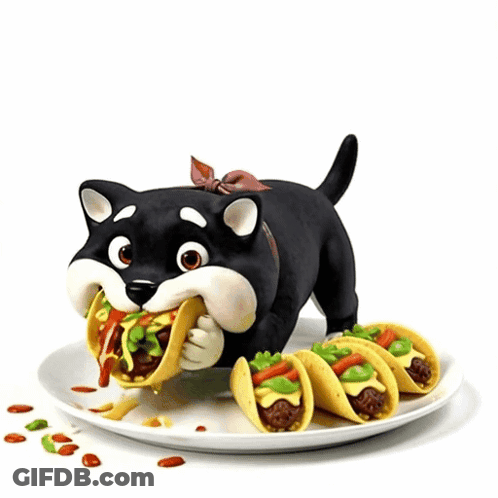 Black And White Dog Eating Tacos On Plate GIF
