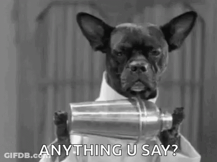 Black And White Dog Holding Shaker Saying Anything U Say GIF