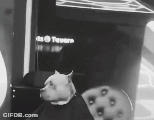 Black And White Dog In Front Of Tavern Sign GIF