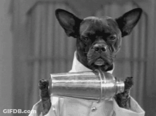 Black And White Dog In Lab Coat Holding Shaker GIF