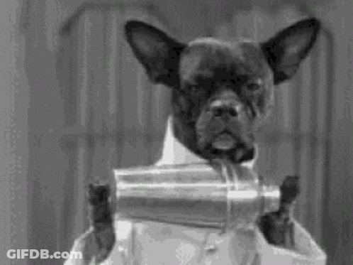 Black And White Dog In Suit Holding Shaker GIF