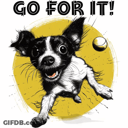 Black And White Dog Jumping For Tennis Ball Saying Go For It GIF