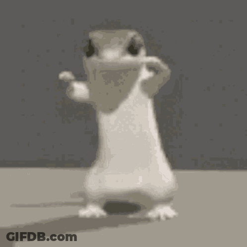 Black And White Dog No Worries I Gotchu GIF