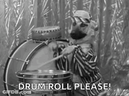 Black And White Dog Playing Drum Drum Roll Please GIF
