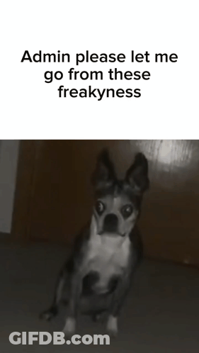 Black And White Dog Please Let Me Go GIF