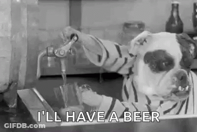 Black And White Dog Pouring Beer Into Glass GIF