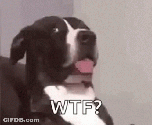 Black And White Dog Saying Wtf GIF