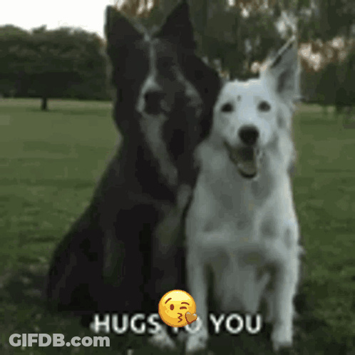 Black And White Dog Sitting Hugs To You GIF