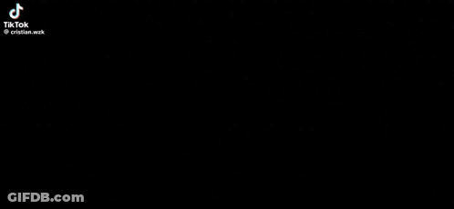 Black And White Dog Standing Next To Letter N GIF