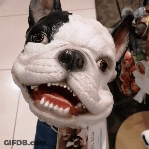Black And White Dog Statue With No X334 Tag GIF