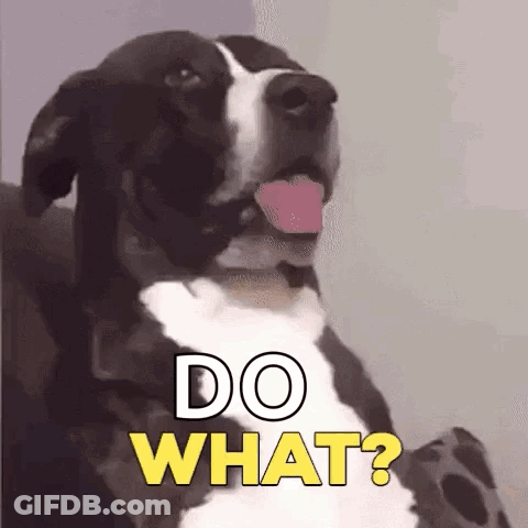 Black And White Dog Sticking Tongue Out Saying Do What? GIF