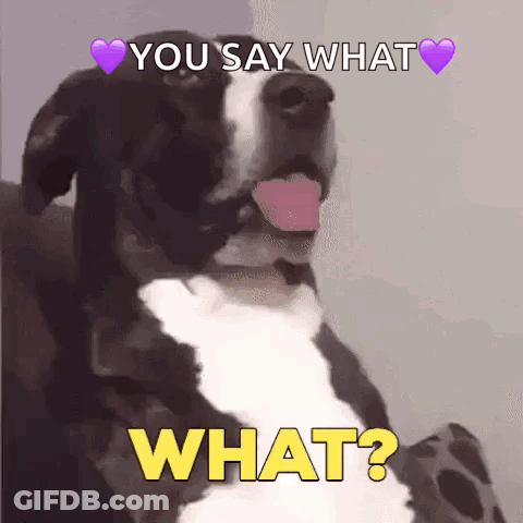 Black And White Dog Tongue Out Says What GIF