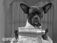 Black And White Dog With Martini Shaker In Mouth GIF