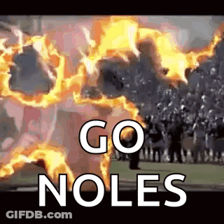Black And White Dog With Megaphone Saying NC State GIF
