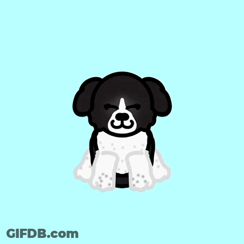 Black And White Dog With Tongue Out GIF