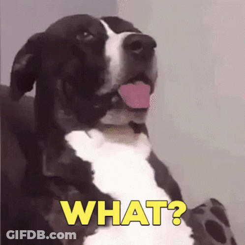 Black And White Dog With Tongue Out Saying What GIF