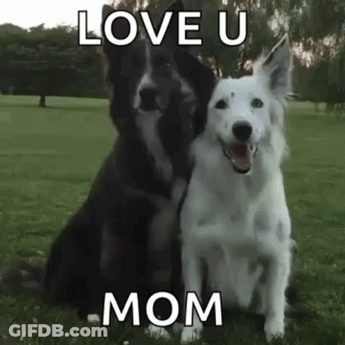 Black And White Dogs Love U Mom GIF