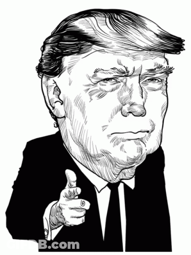 Black And White Donald Trump Pointing GIF