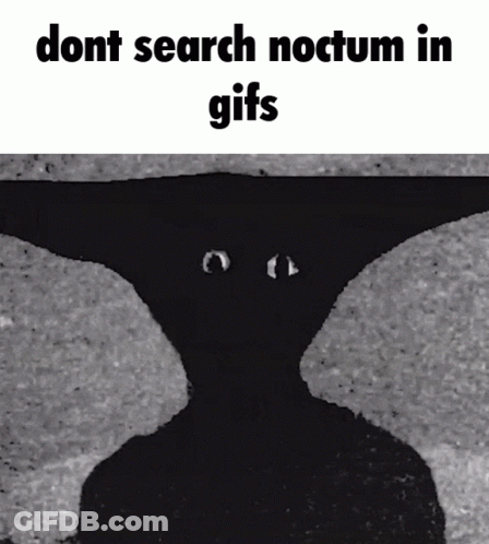 Black And White Dont Search Noctum In GIF