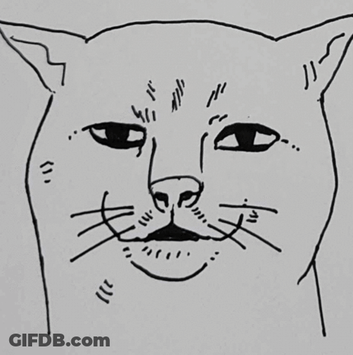 Black And White Drawing Of A Cat 'S Face GIF