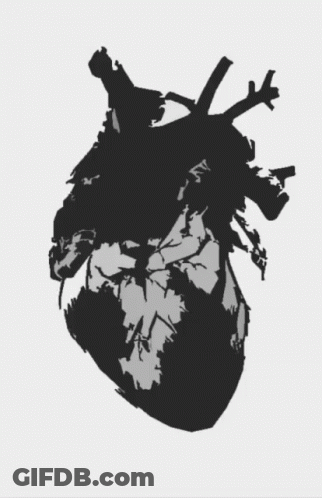 Black And White Drawing Of Human Heart GIF