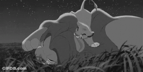 Black And White Drawing Of Lion And Cub GIF