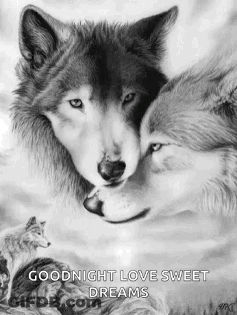 Black And White Drawing Of Two Wolves Kissing GIF
